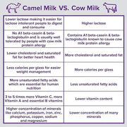 Camelicious Camel's Milk